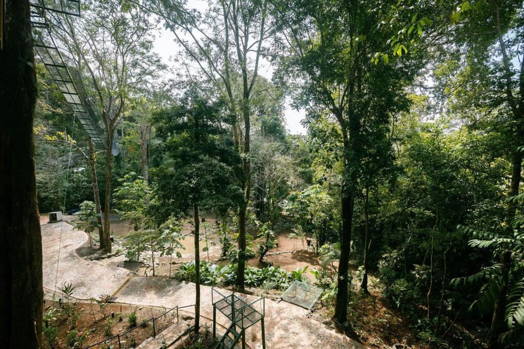 Mountain Top Park Hotel Quepos Ngoại thất bức ảnh