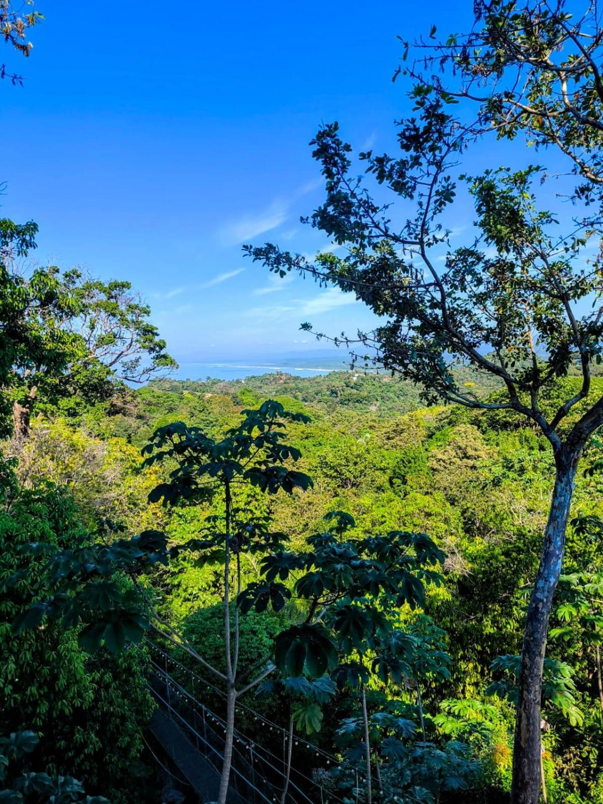 Mountain Top Park Hotel Quepos Ngoại thất bức ảnh