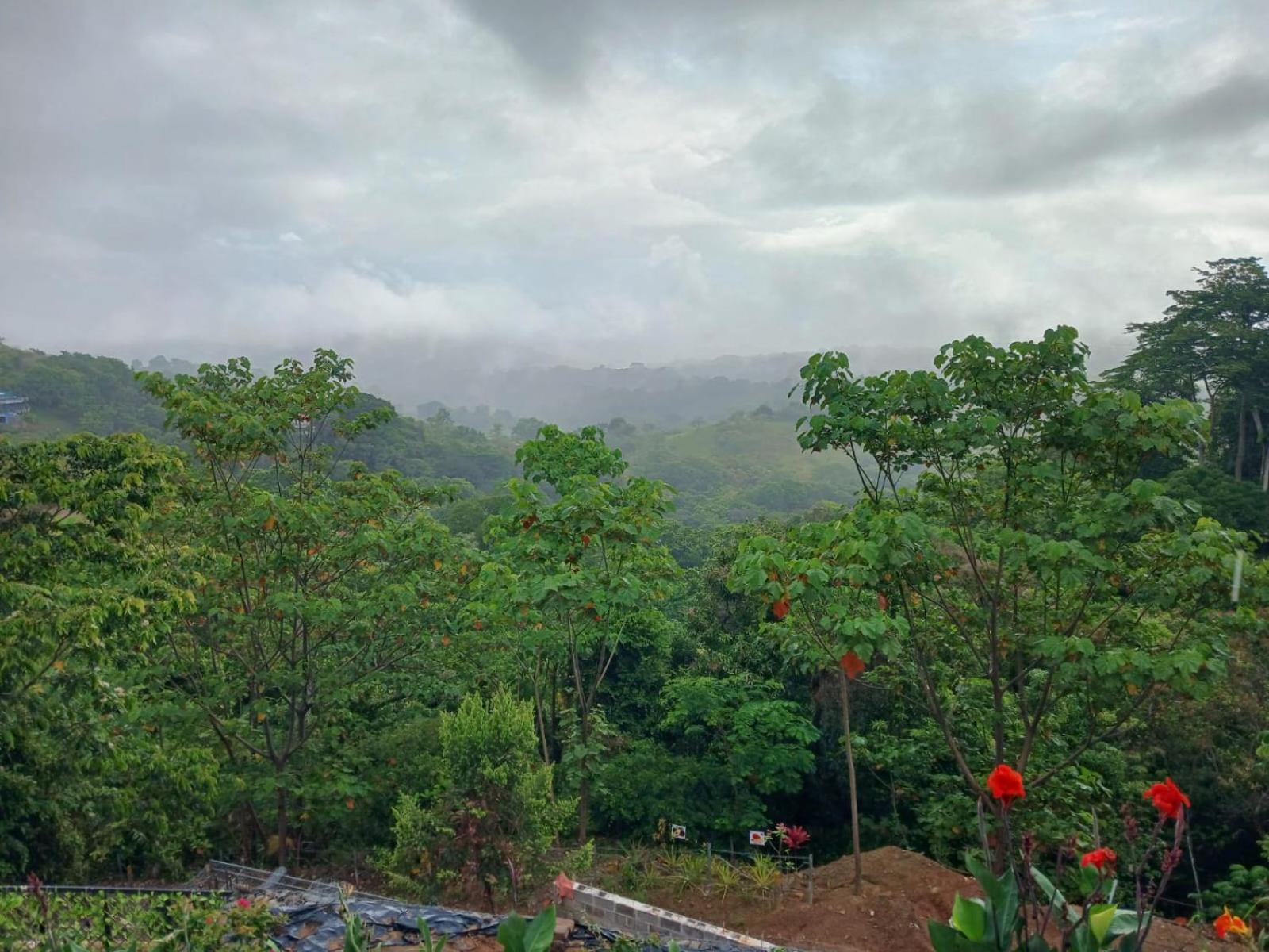 Mountain Top Park Hotel Quepos Ngoại thất bức ảnh